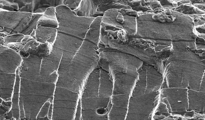 teplota a další charakteristiky prostředí, ovlivňující schopnost plastické deformace materiálu v okolí čela trhliny. 3.7.1.