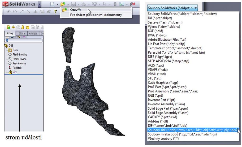 3.3 Automatická tvorba objemového modelu v programu SolidWorks Kosti v lidském těle se skládají ze čtyř různých vrstev.