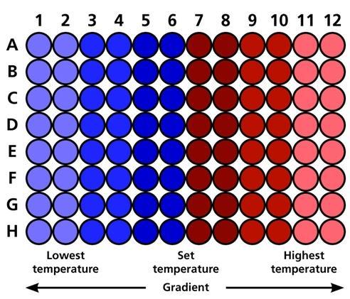 PCR hlavní faktory ovlivňující průběh reakce Annealingová teplota - Teplota nasedání primerů na templátovou