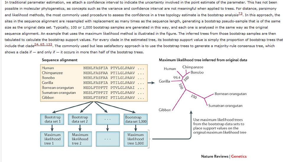 Bootstraping Ověřování správnosti topologie výsledného stromu - Z datové matice je vypuštěn určitý znak/marker a jeho místo v matici je nahrazeno jiným markerem.
