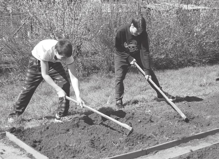 Možná i alarmující zprávy, které na nás každodenně křičí z novin nebo televizních obrazovek, vedly naše mladé spisovatele spíše k pesimističtějšímu pohledu na věc.