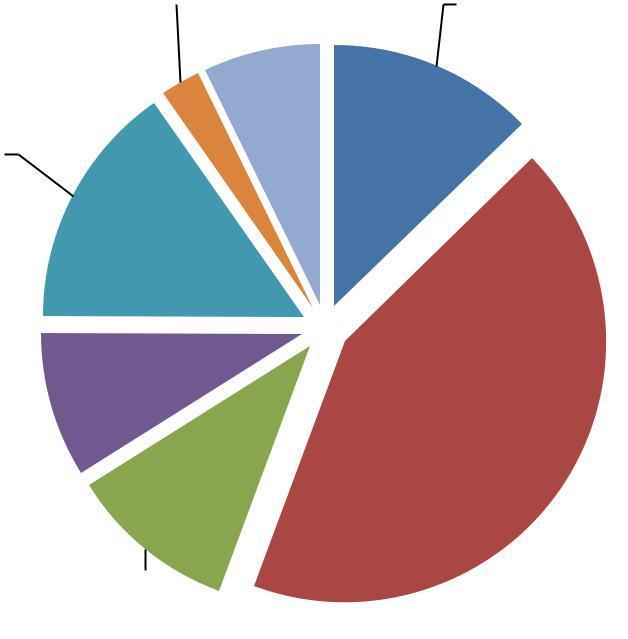 VÝNOSY PODLE ZDROJŮ FINANCOVÁNÍ V ROCE 2015 Zdroje financování Kč MSK (z kapitoly 313 MPSV) 8 771 000,00 MŠMT, MK, MPSV odbor Rodina 1 287 880,00 Úřad vlády 500 000,00 Úřad práce 1 382 545,00 Dotace