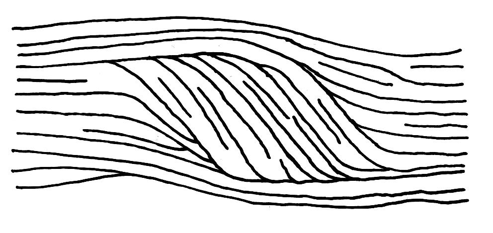 ŢEBŘÍČKOVITÉ USPOŘÁDÁNÍ (ANGLICKY LADDER ) Na thenaru vzory jen zřídka (L r, L proximální, nikdy L u).