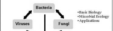 Rezistence prostředí Mléko - peroxidázy, aglutininy - brání kontaminaci /Streptococcus, Salmonella/ Interferon - látky