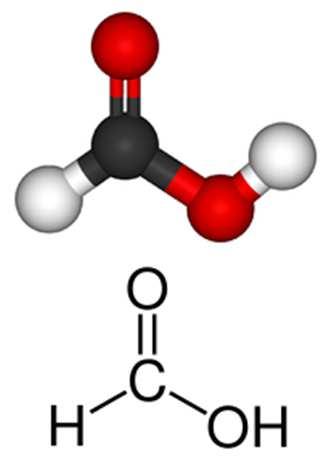 Toxicita kyseliny mravenčí Inhibice