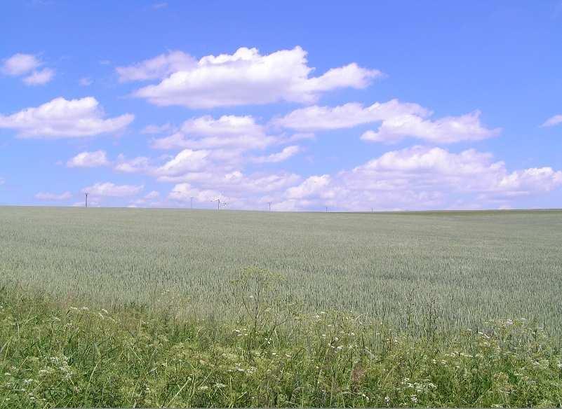 Obr. 5: Pohled z lokality navržené větrné elektrárny KYZ 4 směrem na sever (foto: Radim Kočvara).