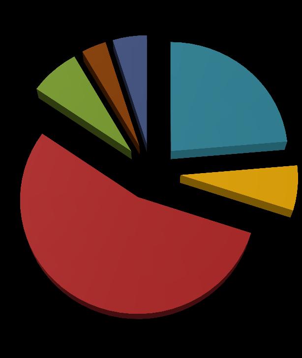 Struktura materiálových nákladů* 7% 3% 5% léky 24% krev szm