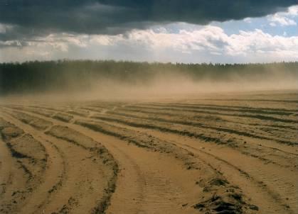 Důsledky intenzifikace zemědělství - půda Foto: Jan Vopravil Průzkum půd v ČR (1960-1972) podmáčené půdy: 843 781 ha (19 %