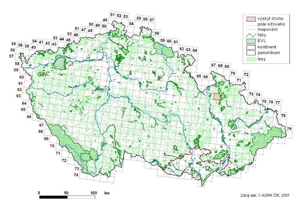 minulosti. Z řeky Moravy (případně z jejich větších přítoků) druh vymizel zřejmě v důsledku silného znečištění vody (jak je známo u příbuzné mihule potoční).