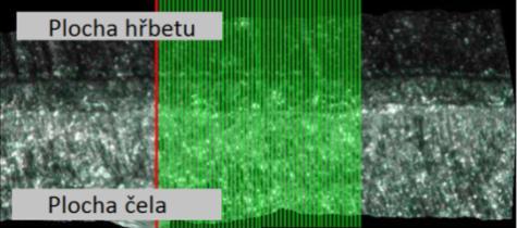 FSI VUT BAKALÁŘSKÁ PRÁCE List 63 3.3.2.5 Analýza opotřebení nástroje Před a po obrobení povrchu součásti byla břitová destička GIPA-6.00-3.00 (podrobný popis v kap. 3.1) změřená bezdotykovou metodou a následně analyzovaná viz příloha 4.