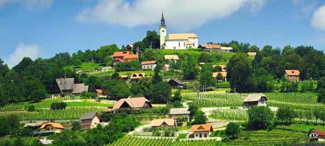 -14% SLADICE IZ GOZDNIH SADEŽEV,