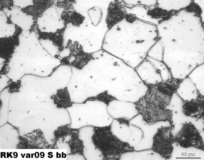 Obr. 3. Exponovaná trubka, strana spalin mikrostruktura (zvětšeno 1600x) Fig. 3. As-exposed tube, combustion side microstructure (magnification 1600x) Obr.