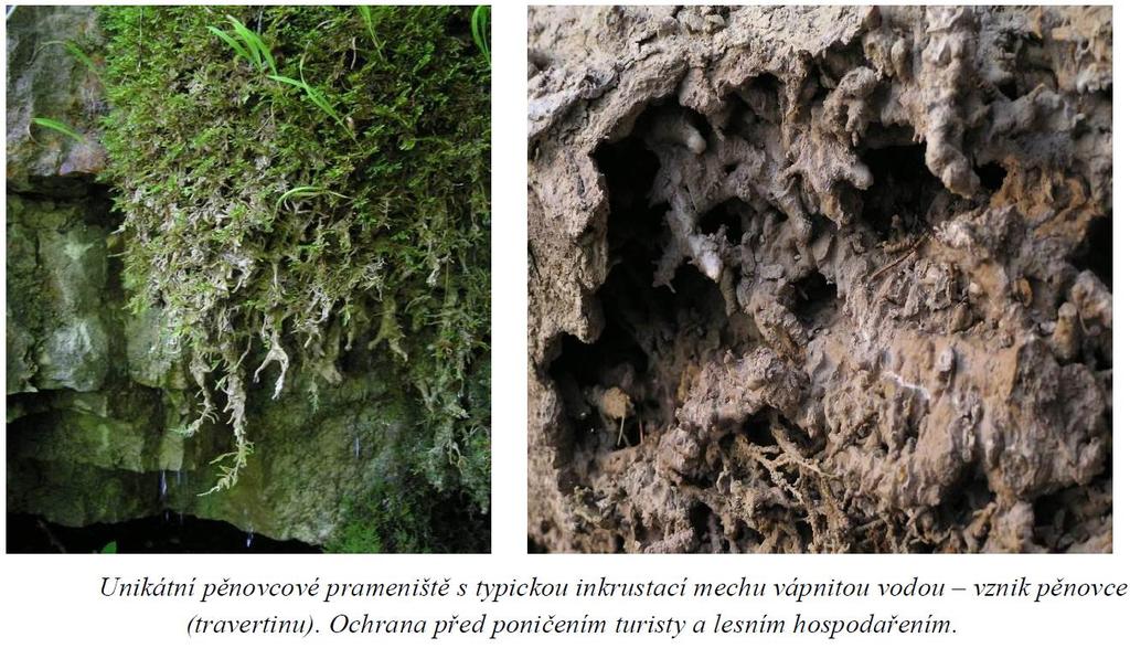 Hydrologie: Území náleží do hlavního povodí 1 01 02 Úpa a Labe od Úpy po Metuji, do povodí Úpy (ČHP 1 01 02 001).