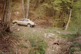 plán péče odpovídá požadavkům jen ve dvou bodech (nedostatečně je zpracován rozbor současného stavu ZCHÚ, plán zásahů a opatření, předpokládané náklady a mapové přílohy).