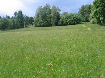 realizaci lyžařského vleku minimalizovat stavební zásahy do lučních porostů. Při dodržení tohoto opatření lze očekávat nevýznamný vliv na přírodu a krajinu.