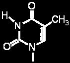 pátým uhlíkem druhého nukleotidu. Střídá se tedy pentóza a kyselina fosforečná. Baze se nepárují náhodně, vždy se k sobě váže určitý typ bazí. Adenin se váže s thyminem, cytosin s guaninem.