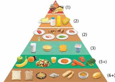 Zdravá strava Cíle hodiny: Zopakovat si látku obsaženou v předchozích úrovních. Představit potravinovou pyramidu a demonstrovat žákům účinky různých potravinových skupin na naše tělo.