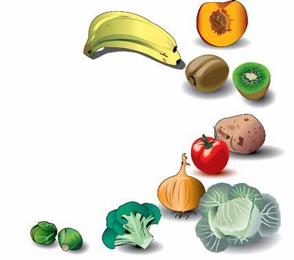 Peckovice: Tento druh ovoce má uvnitř velké semeno zvané pecka, např. třešně, broskve, švestky. Exotické ovoce: Exotické ovoce se pěstuje pouze v určitých částech světa, např.