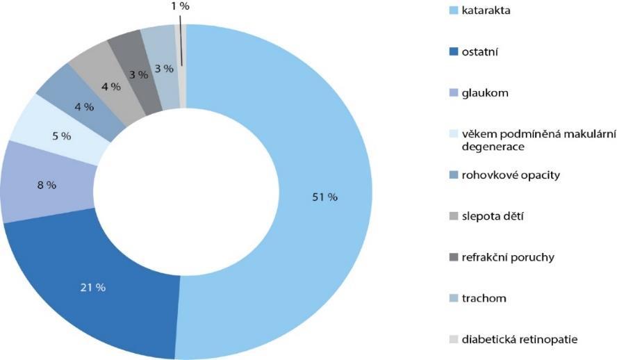 2. Současný stav ve výzkumu bionického oka 23 Každopádně, nelze zapomenout i na to, že systém Argus II neposkytuje dostatek vidění v té míře, aby pacient mohl bezpečně chodit bez kompenzačních