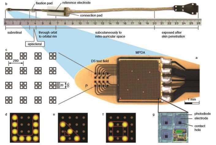 22: Protéza Retina Implantát AG: a sítnicový implantát; b extraokulární implantát; c grafické schéma elektrod; d, e, f grafické schéma fotodiod; g fotodiodový čip s