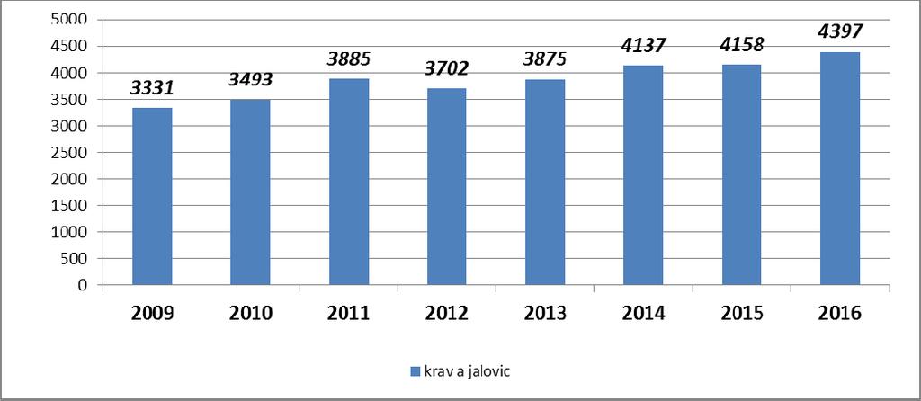 Vývoj početních stavů krav a jalovic již zapsaných v