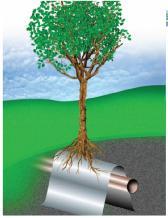 Použití : ROOTCONTROL se používá na ochranu kořenů stromů, dlažby, kanalizace/odpadových trubek, plynového a vodovodního potrubí, kabelů elektrické sítě, telefonních kabelů, sklepů, jezírek a bazénů.