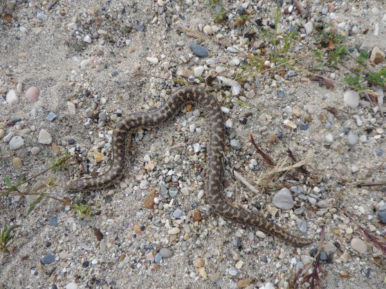 Jelikož nejsme turistická expedice, nechali jsme se vyvézt nahoru autobusem, a šli jsme zoologickým tempem směrem dolů.