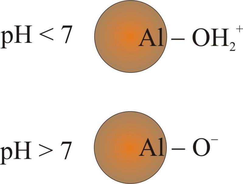 10 Povrchová ionizace organické látky částice kaolínu izoelektrický bod = hodnota ph, při které je počet kladně nabitých a záporně nabitých skupin v rovnovážném stavu