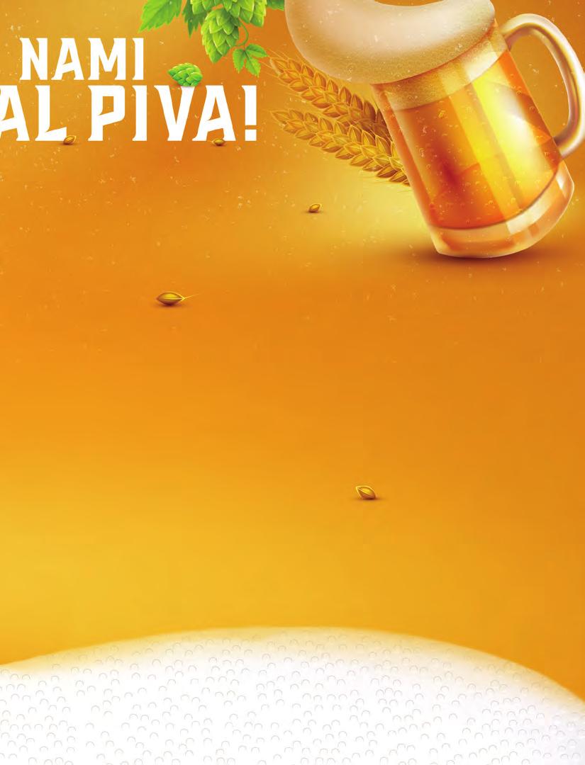 STEIGER SVETLÉ PIVO 0,5 l, 10 % 1 l = 0,660 Akciová cena nezahŕňa zálohu za fľašu