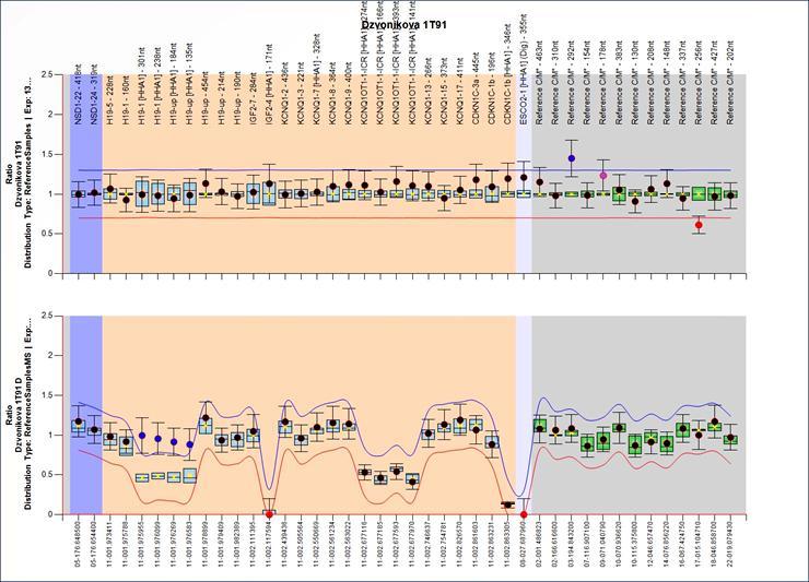 Na grafu je v horní enzymaticky netrávené části modře znázorněn deletovaný úsek, jedná se o krátké raménko 11. chromosomu.