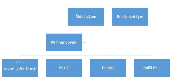 Organizační struktura schéma Obrázek