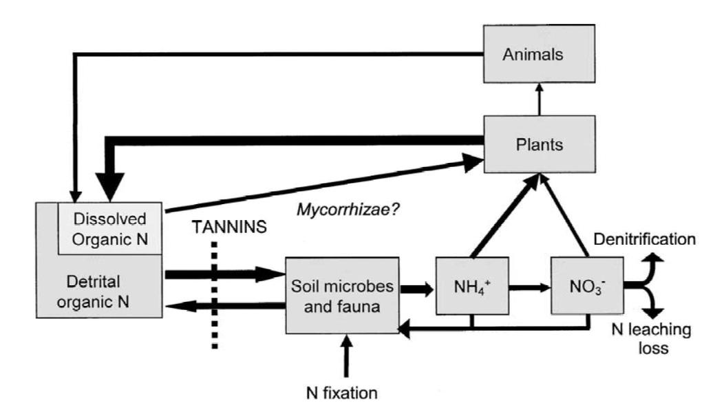 Taniny a mykorhiza druhově specifické kódování živin? podmínky prostředí (klima, půda, etc.