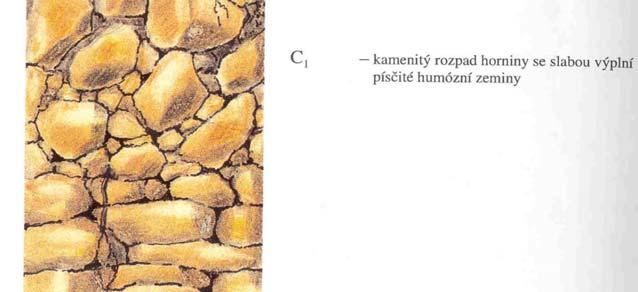 ph a úživnost rankerů těsně souvisí s chemickým složením matečné horniny mohou to být silně kyselé a chudé půdy (např.