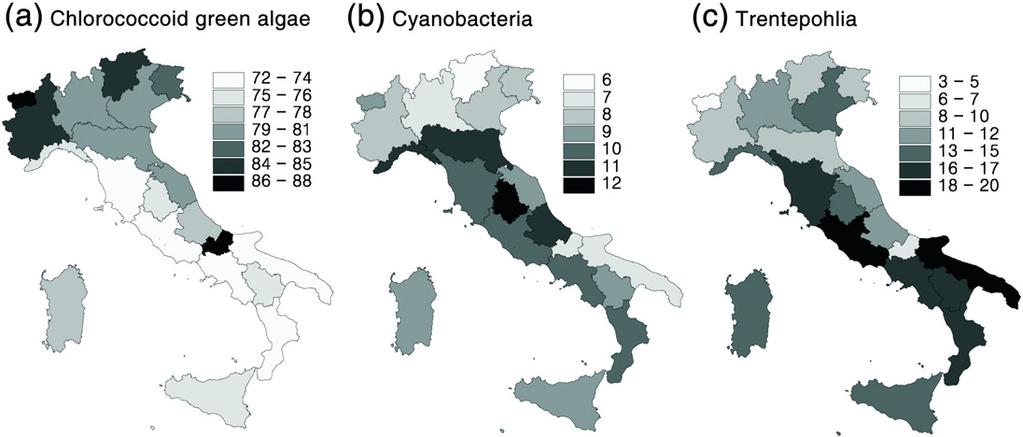 Marini et al.