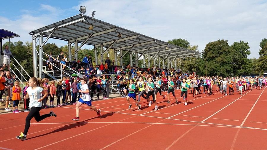 Nejúspěšnější běžci z každé kategorie se poté účastnili okresního kola v Kolíně, kde se umístila jen jedna