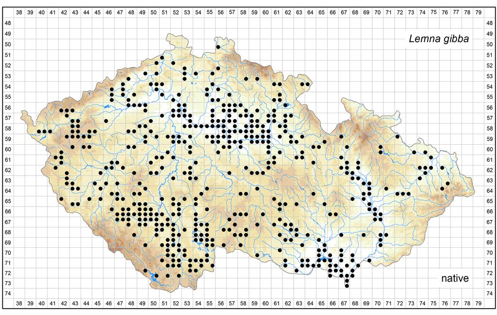 Distribution of Lemna gibba in the Czech Republic Author of the map: Zdeněk Kaplan Map produced on: 07-11-2016 Database records used for producing the distribution map of Lemna gibba published in