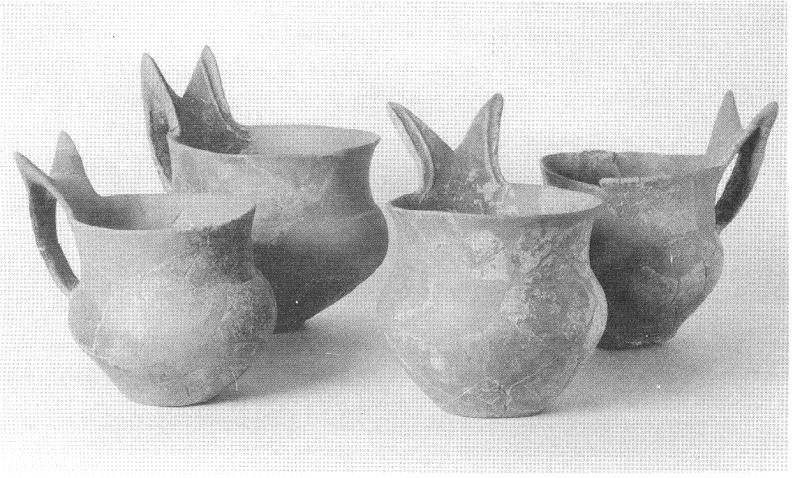 společným znakem také keramika: typické velké zásobnice s drsněným tělem a
