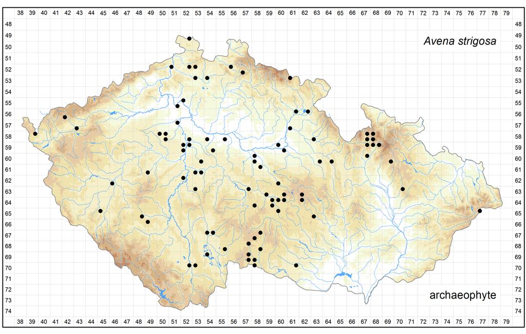 Distribution of Avena strigosa in the Czech Republic Author of the map: Jiří Zázvorka Map produced on: 18-11-2015 Database records used for producing the distribution map of Avena strigosa published