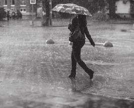 Když léto končí, období dešťů přichází Na základě dlouhodobé předpovědi meteorologů se může na území Česka prohloubit brázda nízkého tlaku, která přinese silné deště.