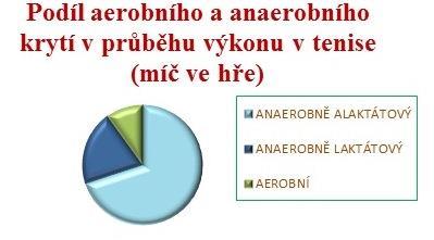 3.3 Fyziologická a metabolická charakteristika tenisu Tenis je charakteristický střídavým zatížením a odpočinkem v poměru 1:3 až 1:5 podle povrchu dvorce.