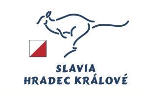 2017 Jindřichov, Jizerské hory POKYNY Harmonogram (MUHU) PÁTEK 7:50 odjezd BUS z HK Harmonie (8:00 loď) 10:00 (1) stínokruhy Slovanka (cestou) 13:30 oběd 16:00 (2) memosudolicho Břízky (z MUHU) 19:00