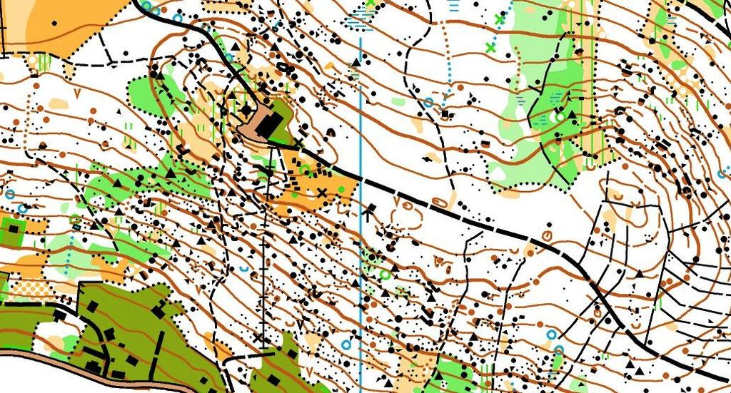 0km - 2 pokud možno vyrovnaní běžci startují najednou na stejný okruh - jeden je vodič, druhý je jeho stín - vodič normálně běží trať, stín běží těsně za ním, snaží se ho pozorovat a získat podněty