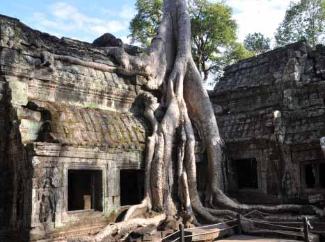 V Kambodži navštívíme úžasný Angkor Wat, hlavní město Phnom Penh a zrelaxujeme na báječných plážích v Sihanoukville. Na závěr nás čeká thajské hlavní město Bangkok.