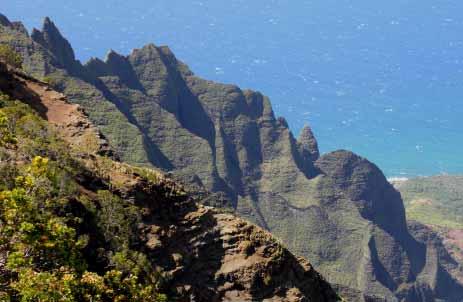 Obdiv zaslouží i majestátní Grand Canyon Pacifiku na ostrově Kauai, aktivní vulkány a lávové jeskyně na Big Island, či vysokohorské mlžné lesy se stromovými Maui kapradinami, obrovská lávová pole