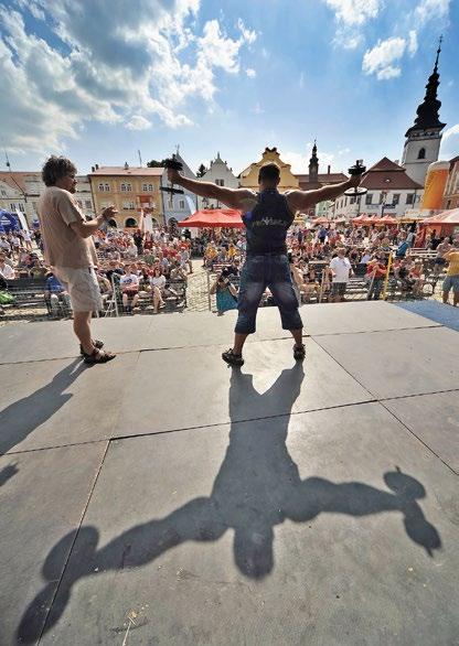 Můžete zde vidět život a díla spolu s jejich působením v Pelhřimově, filmovou tvorbu a všechna ocenění věnována Lubomírem a Oldřichem Lipských.