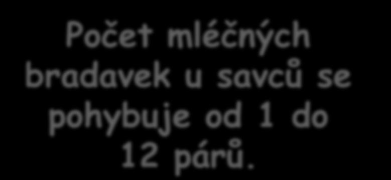 savců se