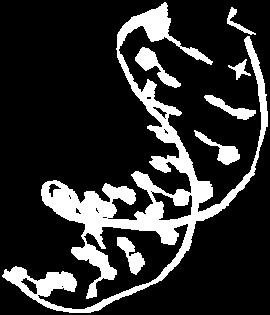 2-deoxyriboso-5-phosphate (DA) riboso-5-phosphate (A) H H Vznik řetězce K A vs.