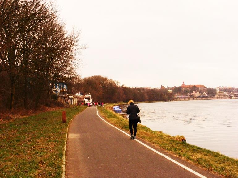 Dolního Žlebu) až na Labskou louku v nejvyšších partiích Krkonoš. V Ústeckém kraji měří stezka 96 km.