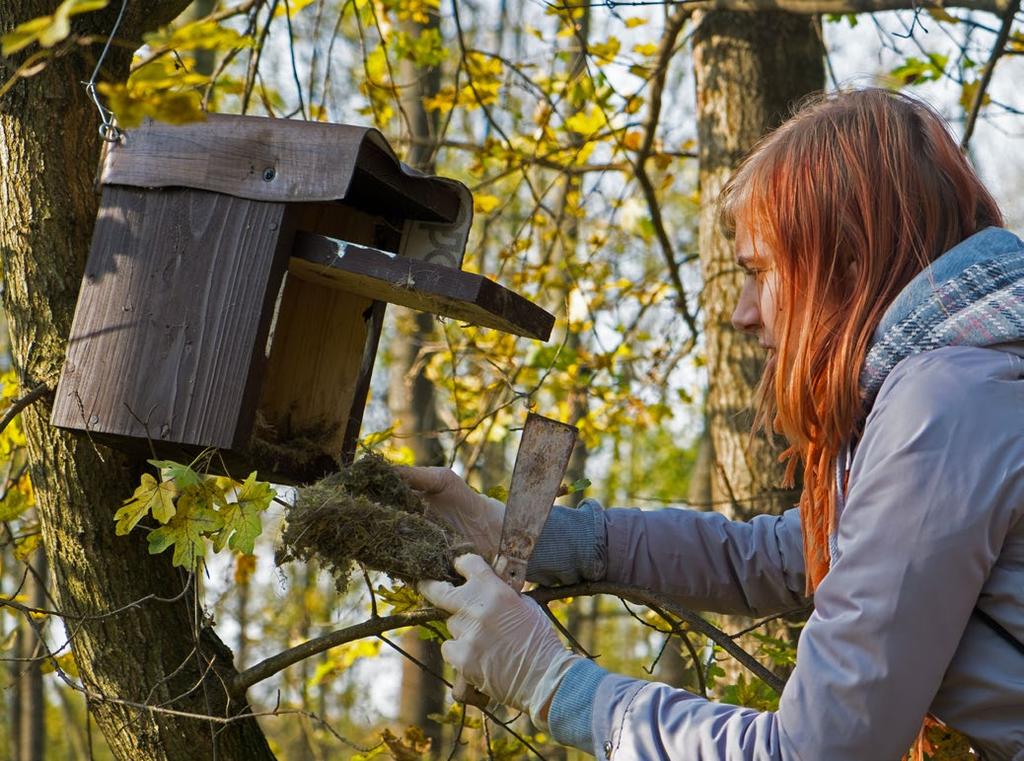 Vyvěšování, kontrola a údržba Vyvěšování ptačích budek má některá svá specifika, která potřebujeme znát, abychom vůbec ptákům pomohli.