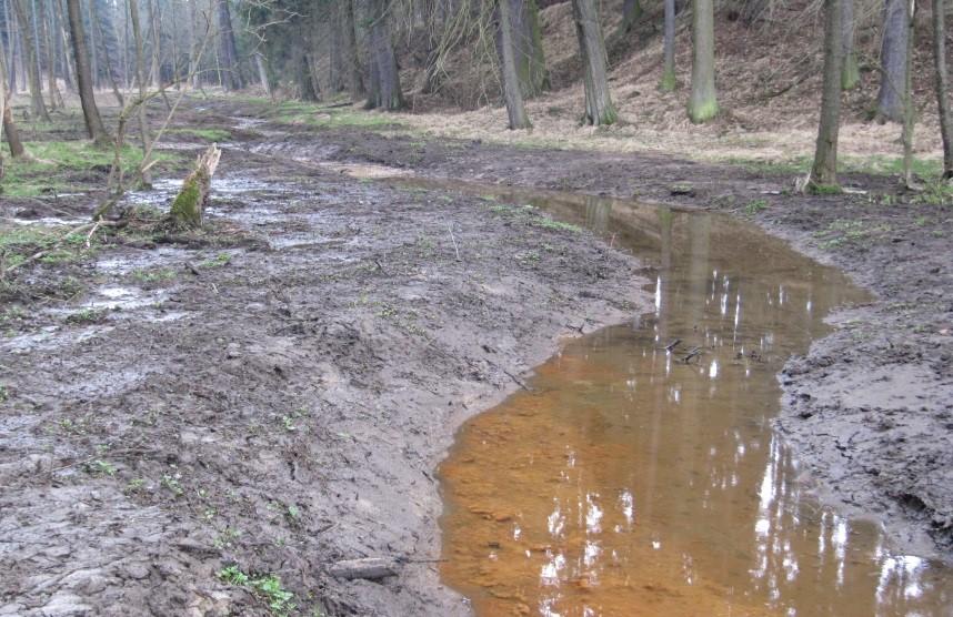 přírodě blízkých koryt vodních toků (přiměřeně kapacitních, tvarově a hloubkově pestrých) zahrnující eventuální odstranění dřívějších nevhodných úprav (opevnění dna a břehů, ohrázování,